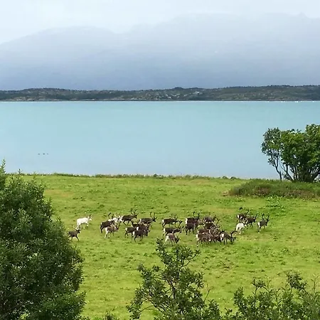 בית נופש House In The Heart Of The Lyngen Alps With View Lyngseidet